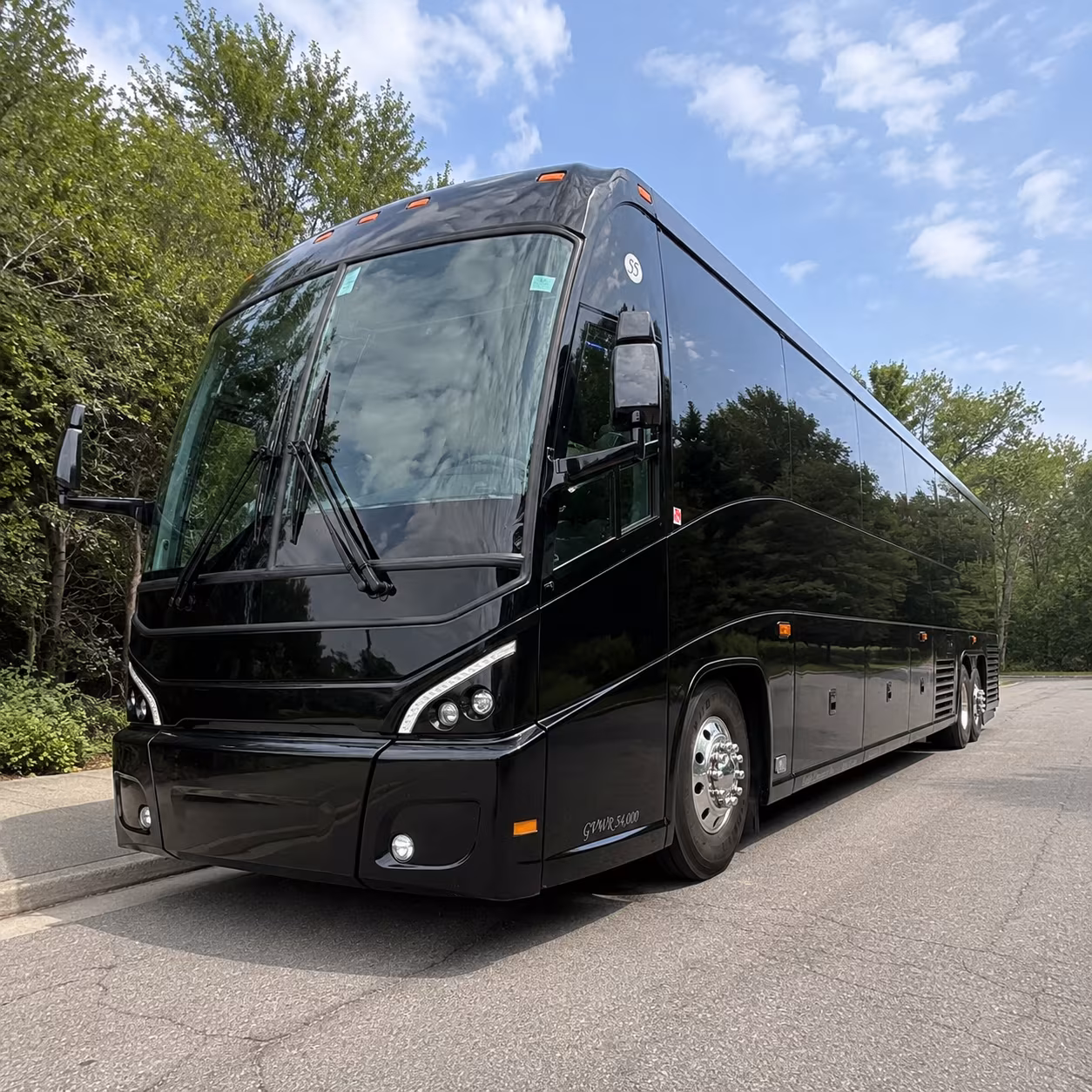 cruise transfers to port canaveral portmiami and port tampa bay